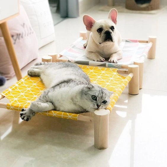 CAMA PETS