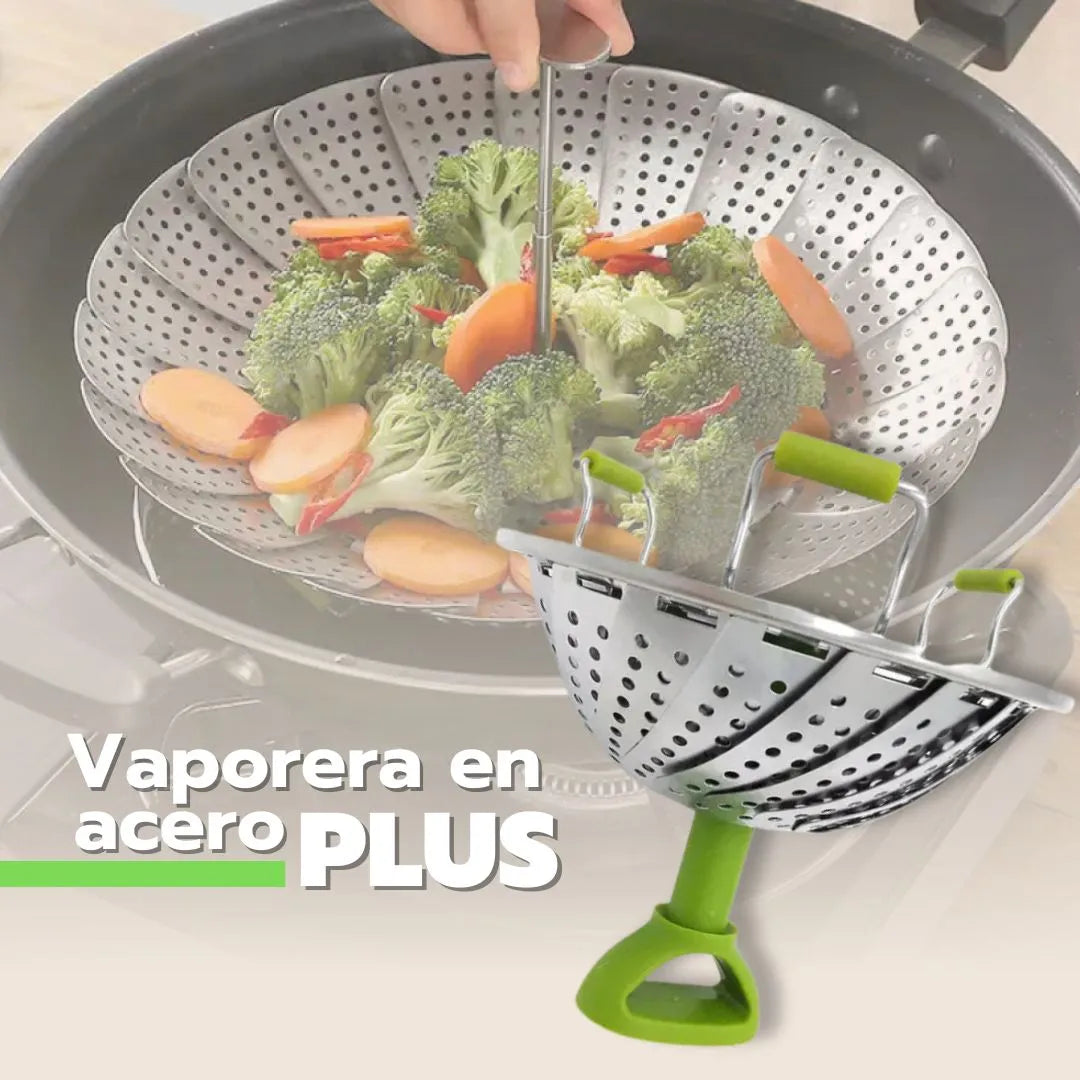 VAPORERA EN ACERO PLUS