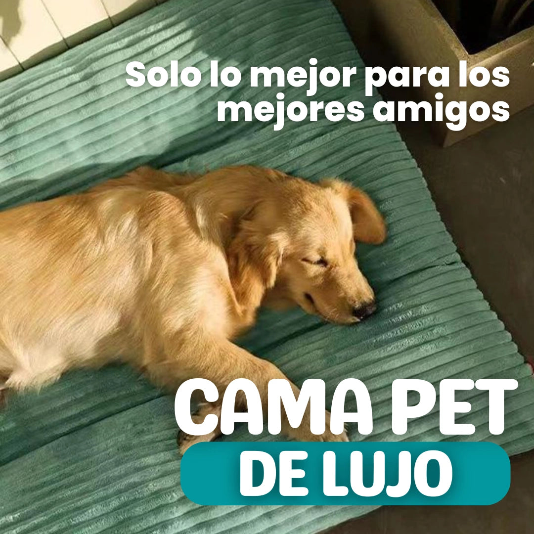 CAMA PET DE LUJO